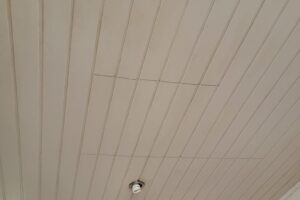 Cicibur-Duzy-22-09-2025-3